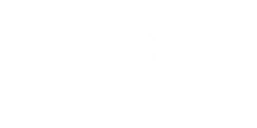 Rayvotech Logo